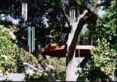 Windchimes with Treedeck in the background